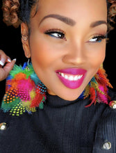 Load image into Gallery viewer, Feather Earrings - Multi Mix Dark

